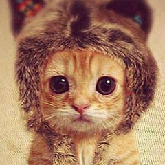 Мухаммед Хыдырлиев, 03.08, Ашхабад