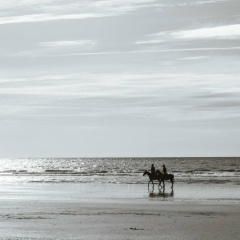 Елена Акопова, 26.04, Санкт-Петербург