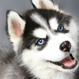 Виталий Николаев, 27.02