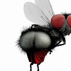 Алиса Муркина, 11.12