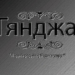 Чингиз Адыгёзалов, 16.08, Гянджа