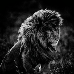 Айк Мкртчян, 02.08, Самара