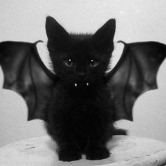 Madu Zhan, 04.05.1988, Актау