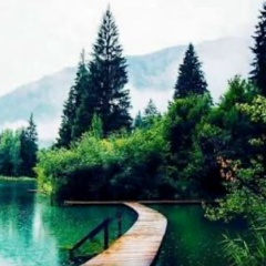 Эльза Драганова, 14.01, Санкт-Петербург