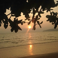 Артем Куркин, 01.03.1981, Тольятти