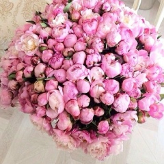 Зарина Оспанова, 20.06, Астана