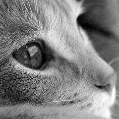 Наталия Сотова, 23.12, Москва