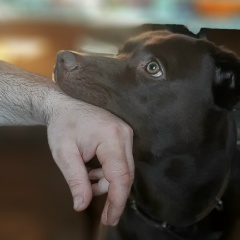 Дмитрий Кузнецов, 25.03.1976, Новосибирск