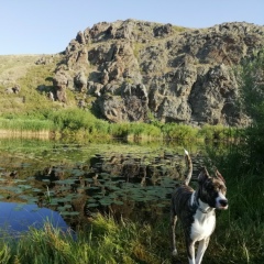 Станислав Скобелев, 18.10, Актобе
