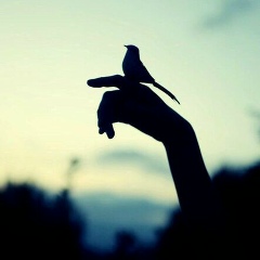 Надежда Ли, 23.02.1987, Санкт-Петербург