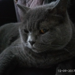 Игорь Петрович, 08.02, Санкт-Петербург