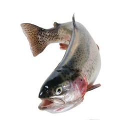 Екатерина Семенова, 12.08, Санкт-Петербург