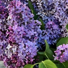 Екатерина Сафронова, 11.08