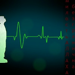 Равиль Абдурахманов, 01.02.1995, Махачкала