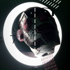 Кольт Шредингера, 08.08.1983, Санкт-Петербург