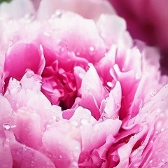 Ольга Колесникова, 29.07, Москва