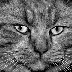 Ярослав Михайлович, 12.05, Краснодар