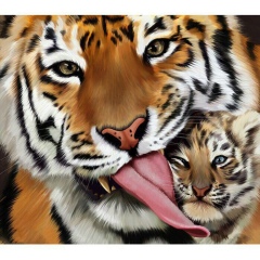 Жулдыз Самакова, 14.01, Астана