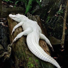 Максим Митрофанов, 09.05