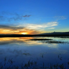 Myat Thu, 13.12.1988