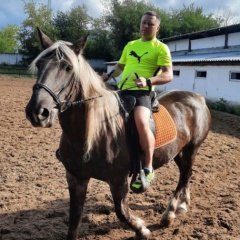 Дмитрий Богданов, Владимир