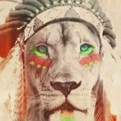 Константин Шилов, 20.08, Могилёв