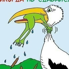 Денис Балашов, 19.10.1980, Казань