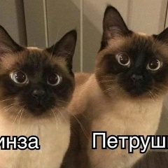 Ирина Климова