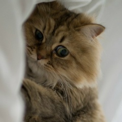 Анастасия Вершинина, 04.09