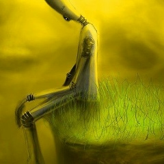 Дмитрий Петров, 26.11, Екатеринбург