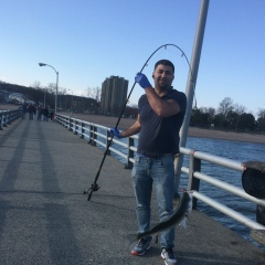 Elmir Abbasov, Москва