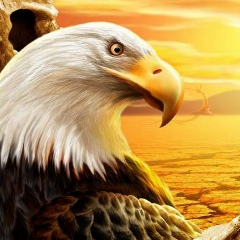 Макс Молин, 18.12, Москва