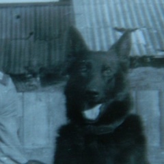 Алексей Корзинкин, 07.03.1967, Санкт-Петербург