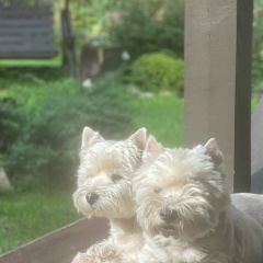 Екатерина Пойлова, 17.10.1977, Санкт-Петербург