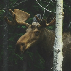 Надежда Зоммер, 19.04.1990, Санкт-Петербург