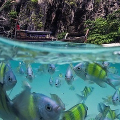 Гена Муса, 10.03.1990, Санкт-Петербург