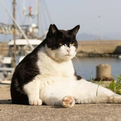 Захар Левус, Тюмень