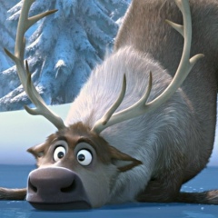 Владимир Авдонин, 09.08.1982, Сергиев Посад