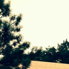 Лена Трофименко, 05.04.1987, Одесса