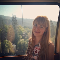 Наташа Шевченко, 22.11, Киев