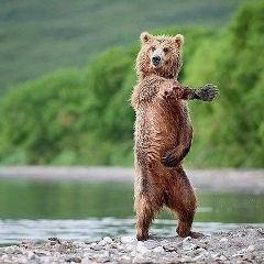 Султан Пиржанов