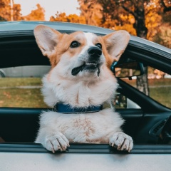 Илья Рамазанов, 20.12.1989, Санкт-Петербург