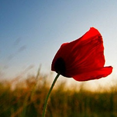 Алина , 13.11.1985