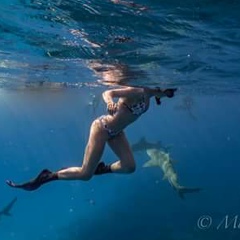 Annie Toosmallforhooters, 10.04.1985, West Palm Beach