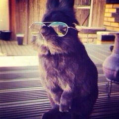 Рамиль Магжанов, 13.12, Москва