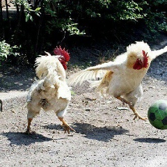 Арман Жапабаев, 27.10.1980, Шымкент