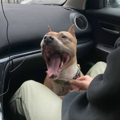 Дима Щепаев, 01.06, Москва