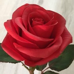 Гюльсум Ходжаева, 22.05.1976, Гардабани