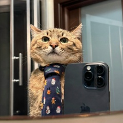 Мухаммаджан Эминов, Шымкент