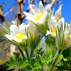 Лена Сибирячка, 27.03, Слюдянка